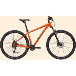 Bicicleta Cannondale Trail 6